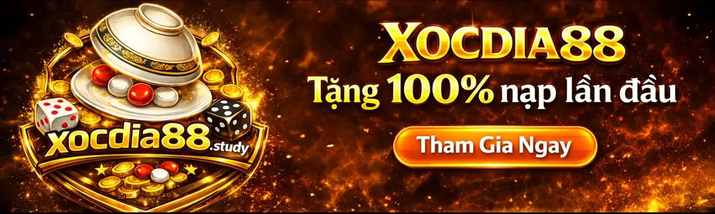 banner-xocdia88-study