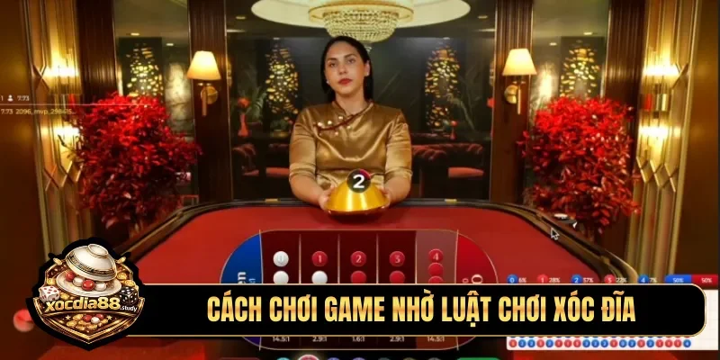 Cách chơi game nhờ luật chơi xóc đĩa
