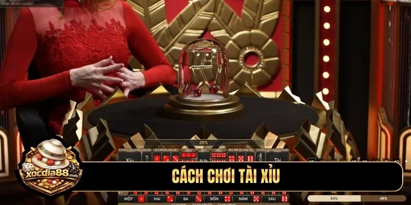 cách chơi tài xỉu