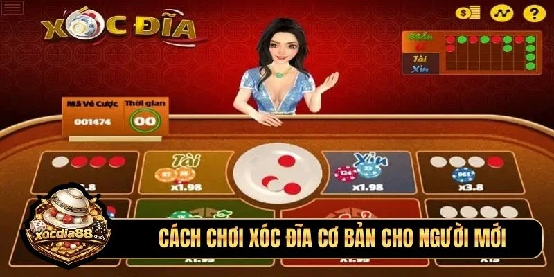Cách chơi xóc đĩa cơ bản cho người mới