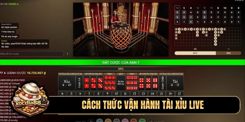 Cách thức vận hành tài xỉu live