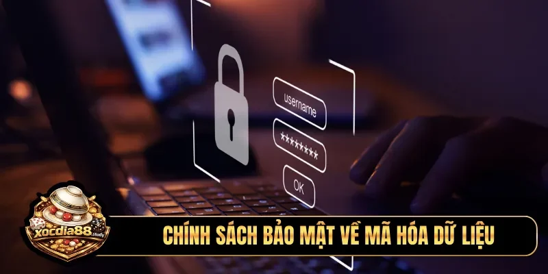 Chính sách bảo mật về mã hóa dữ liệu