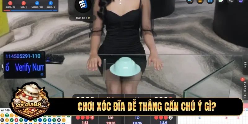 Chơi xóc đĩa dễ thắng cần chú ý gì?