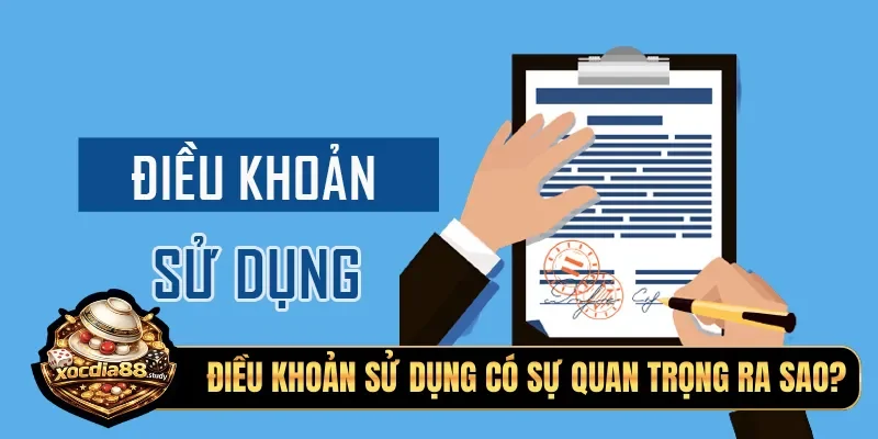 Điều khoản sử dụng có sự quan trọng ra sao?