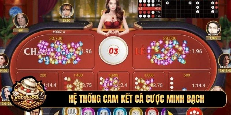 Hệ thống cam kết cá cược minh bạch, không lừa đảo