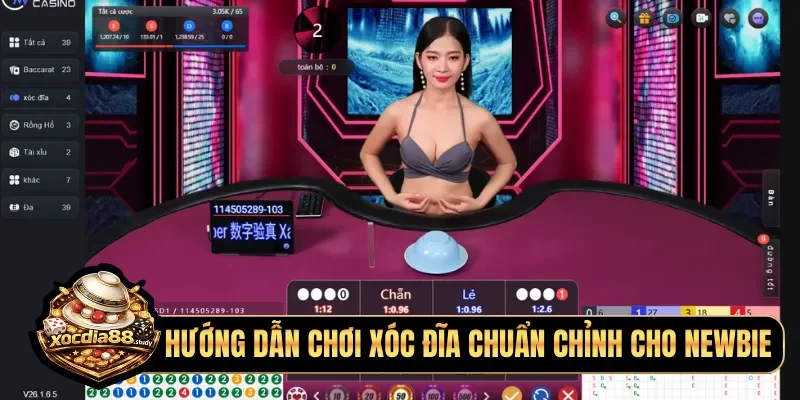 Hướng dẫn chơi xóc đĩa chuẩn chỉnh cho newbie