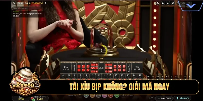 Tài xỉu bịp không? Giải mã ngay