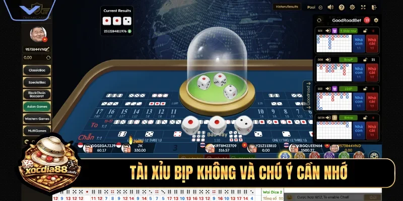 Tài xỉu bịp không và chú ý cần nhớ